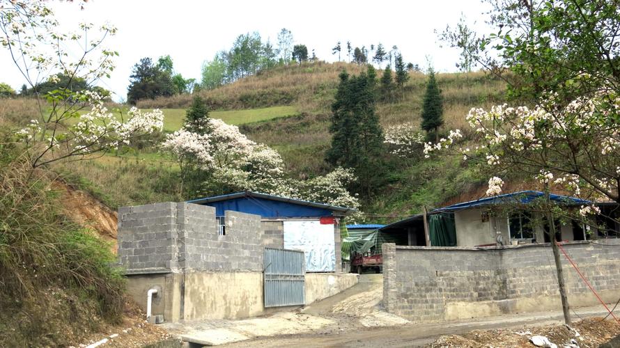 山桐房地产